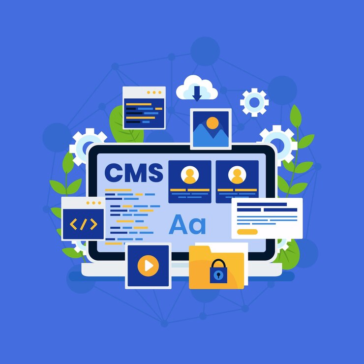 CMS Website Development – Professional Package